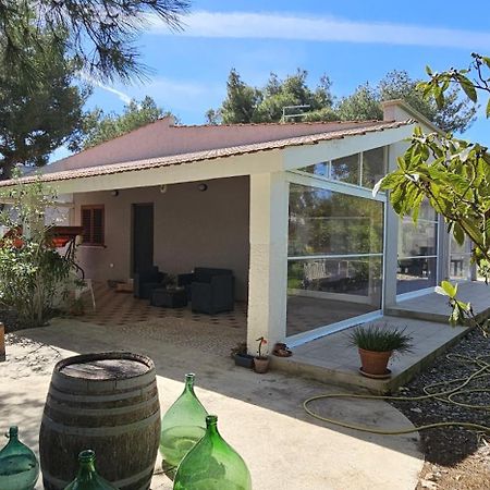 B&B Montedarena Пулзано Екстериор снимка